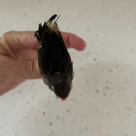 Vintage Antique Bird Christmas Ornament Feathers and Wire Legs - Picture 5 of 5